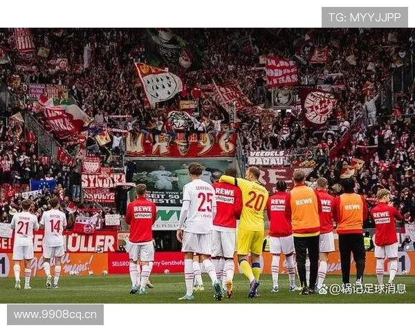 德甲转会检索指南