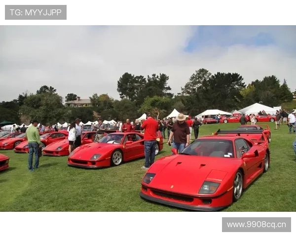 恩佐·费尔南德斯训练完顺手给老婆转了辆法拉利